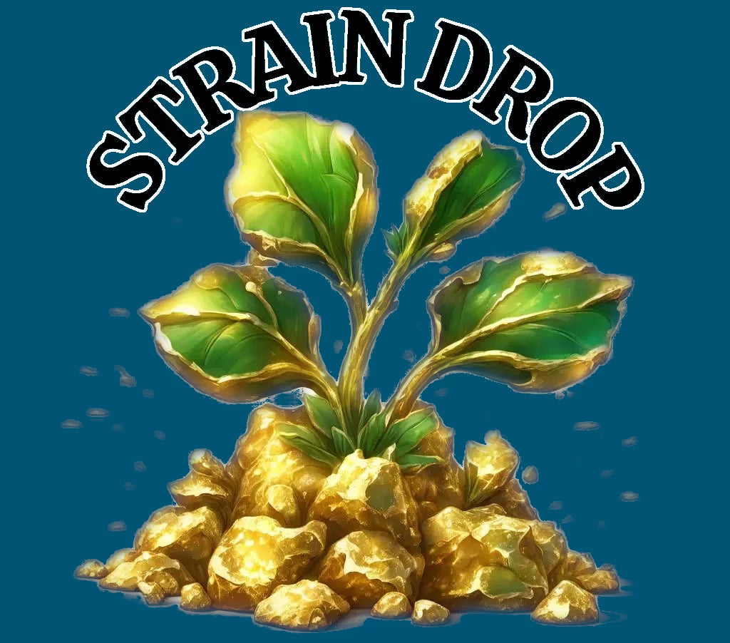 New Strains | Cannabis Seeds