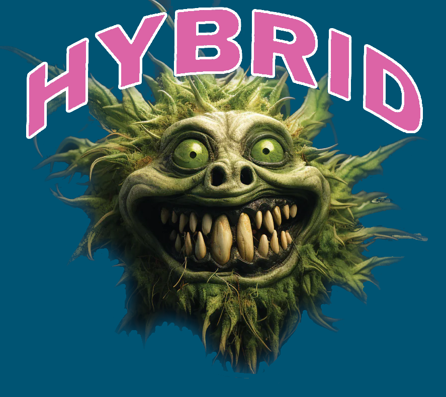 Hybrid Strains | Cannabis Seeds