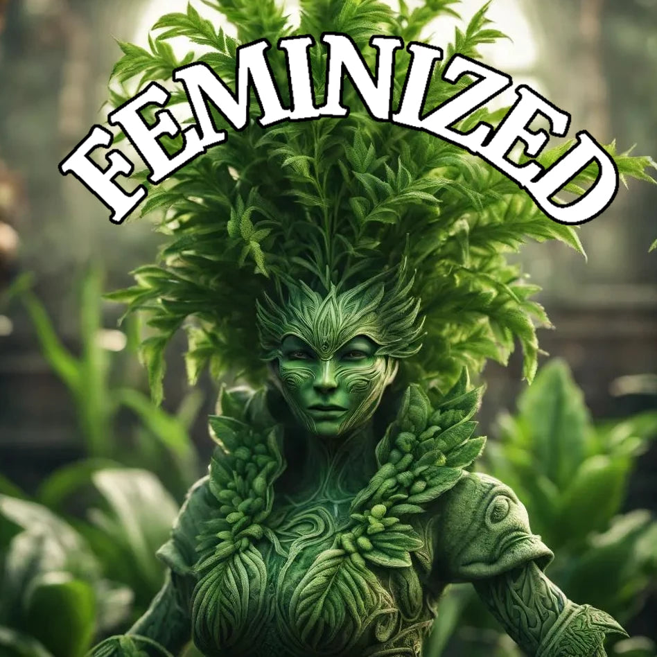 Feminized Seeds | Cannabis Seeds | Tasty Terp Seeds