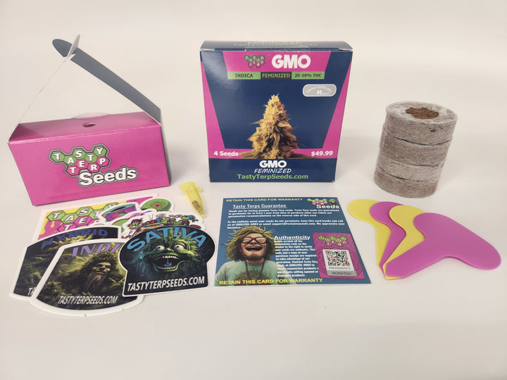 Tasty Terp GMO Feminized Cannabis Seeds 4 Pack