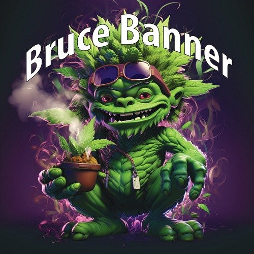 Bruce Banner Autoflower Cannabis Seeds-Tasty Terp