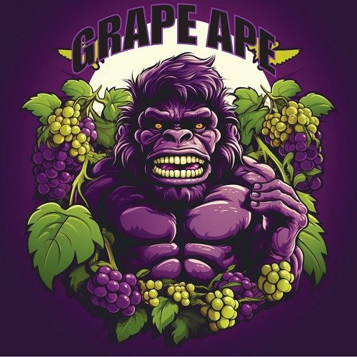 Tasty Terp Grape Ape AutoFlower Cannabis Seeds 4 Pack