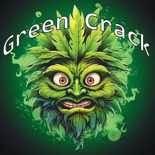Tasty Terp Green Crack Feminized Cannabis Seeds 4 Pack