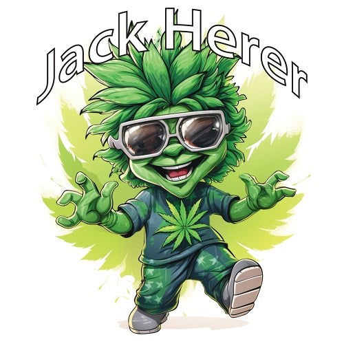 Tasty Terp Jack Herer AutoFlower Cannabis Seeds 4 Pack