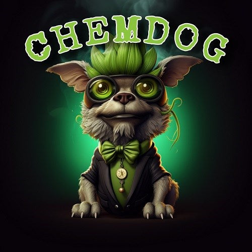 ChemDog AutoFlower Cannabis Seeds 4 Pack - Tasty Terp