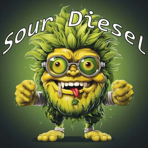 Sour Diesel Autoflower Cannabis Seeds-Tasty Terp